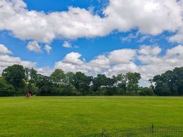 Main field.