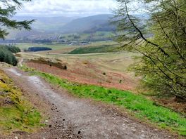 Glentress