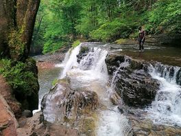 4 x falls