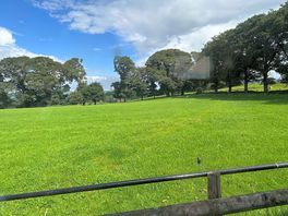 Side view from our caravan