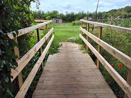 Bridge to shower