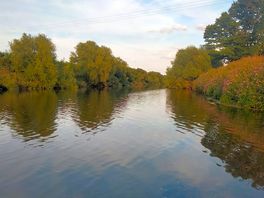 The river closing alongside the field