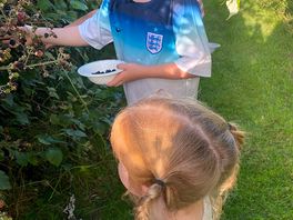 Picking blackberrys