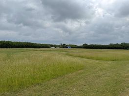 Cared-for field