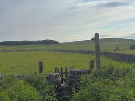 Over the fields to the royal oak pub, great food