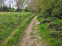 Lovley walks