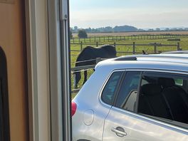 Morning view