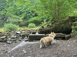 Walk by the river