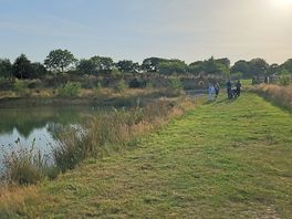 Pond