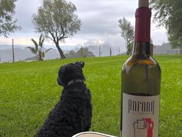 Wine with a view from the pitch