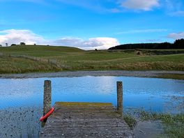 Beautiful small lake