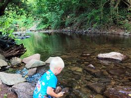 The stream at the back of the site