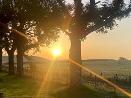 Sunrise
