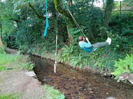 Swinging over the stream