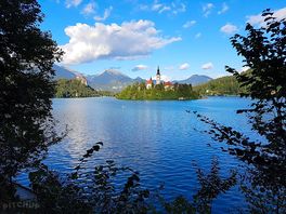 Ein toller blick