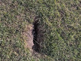 Huge holes on pitch