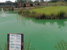 Pond