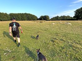 Walk