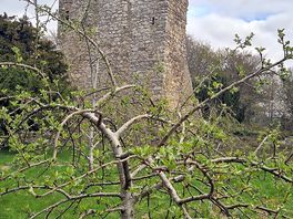 Drumin castle