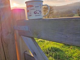 Beautiful mornings withh amazing views!