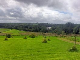 View from field on campsite