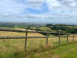 Valley view on farm tour