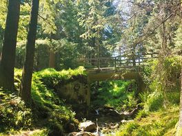 Arriving in glendalough