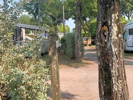 The campsite