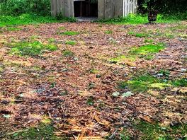 Kitchen hut with water tap to the right