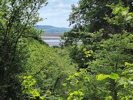 View from forest walk straight from site