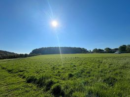 Morning looking up the field