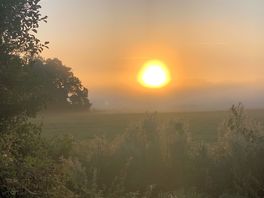 Sunrise.