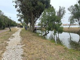 The edge of the lagoon