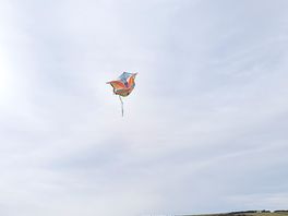 Making the most of the wind with kites!