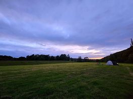 The field
