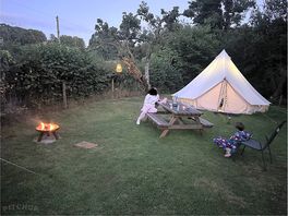 Chilling by the fire
