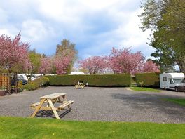 Level pitches and picnic tables