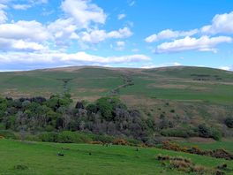 Around farm