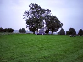 Meadow view