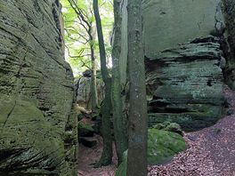 Wandeling dichtbij