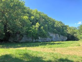 Wooded limestone cliffs