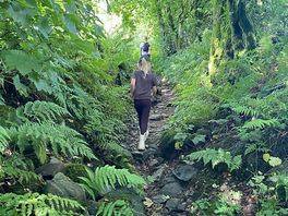 On the way to the waterfalls trail