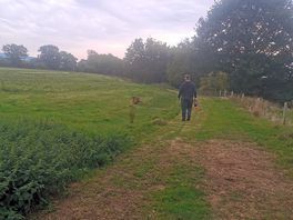 Walking area around a pond.