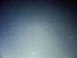 Stars