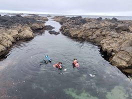 Salmon rack beach 🏖️ 5 mins drive from location