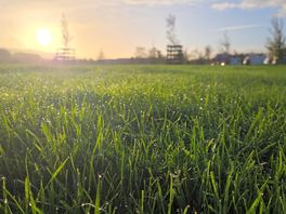 What camping/van life is all about waking up to this