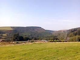 Lovely view