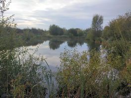 View over the lake