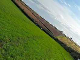 Field view
