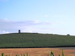 You can walk up to the windmill through the fields